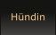 Hündin