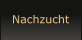 Nachzucht